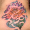lotus