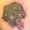 Panther Head
