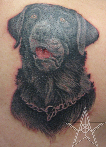 Black Lab