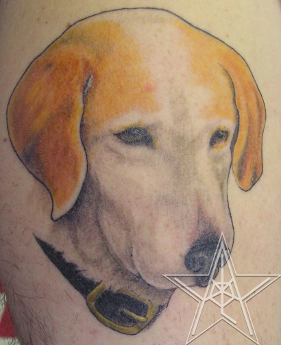 Dog