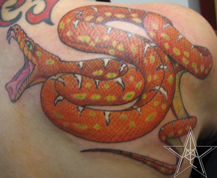 Orange Emerald Boa