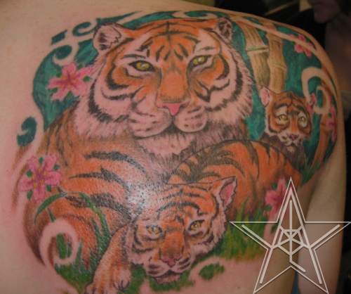 family of tigers