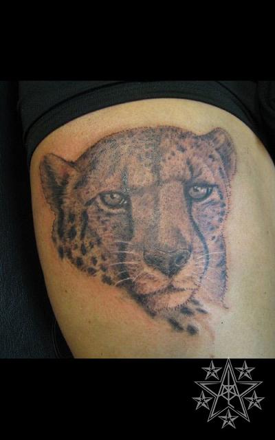 Cheetah