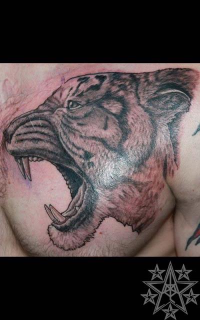 Tiger Roar