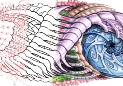 Tattoo Design Development